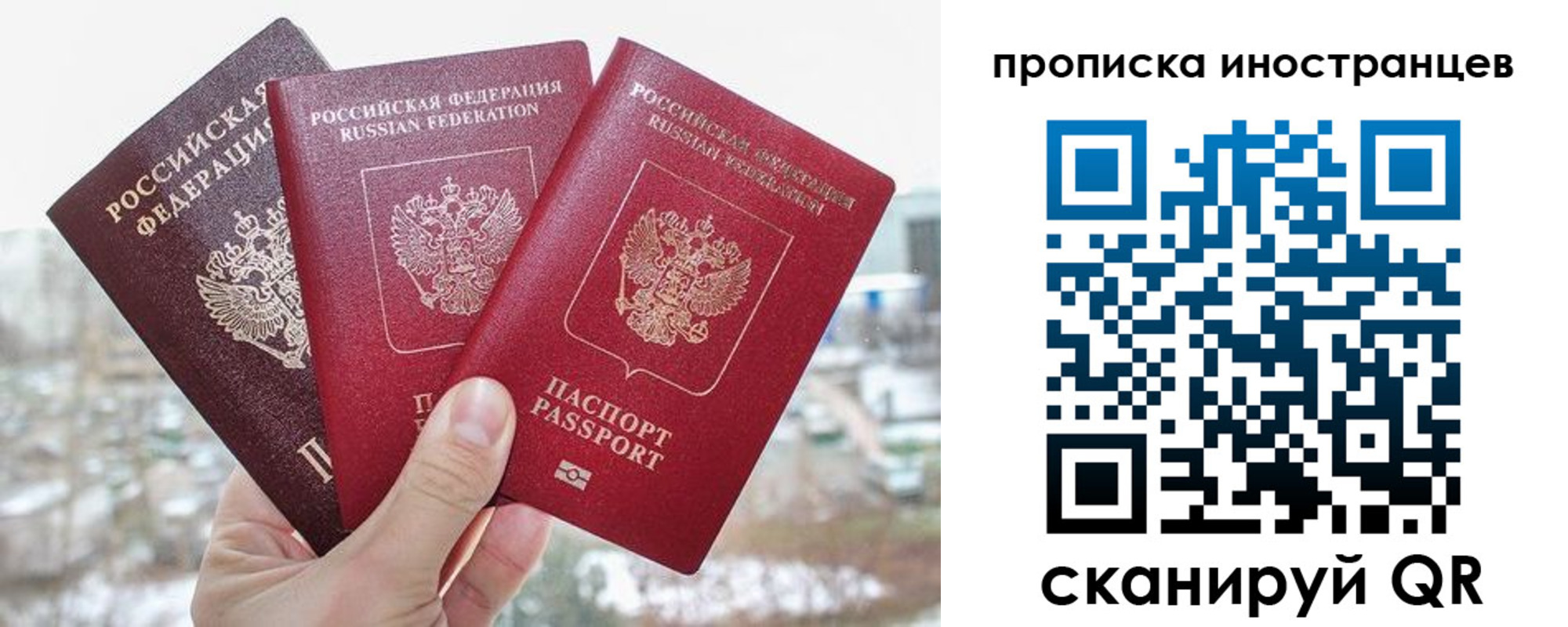 временная регистрация поиск в Павловском Посаде